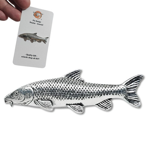 Barbel pin badge pewter carp - badge,