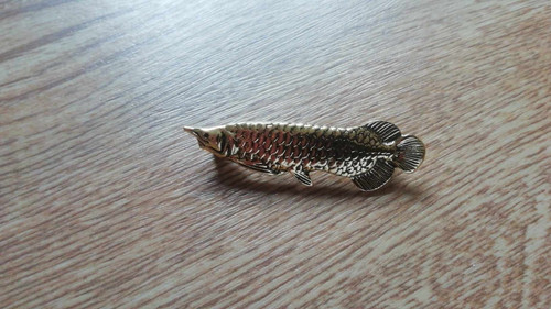 Beautiful fish brooch brand - fish,